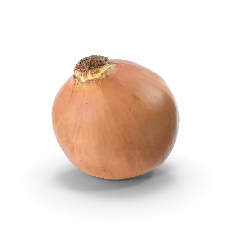 Zwiebel-Bistr-Dortmund Kopie Bistro Asterios emotional mediterrane Küche Zwiebel